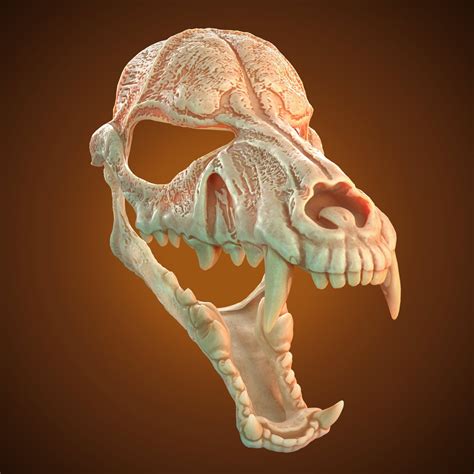 Wolf Skull Mask 3d Model STL Files Wolf Skull 3d Model - Etsy Hong Kong