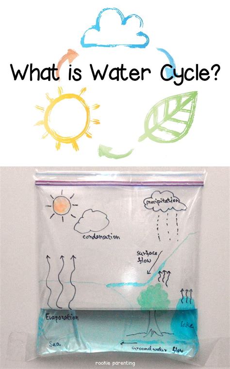 Water cycle science fair projects – Artofit