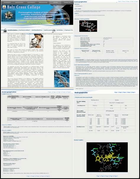 Image result for Web Database