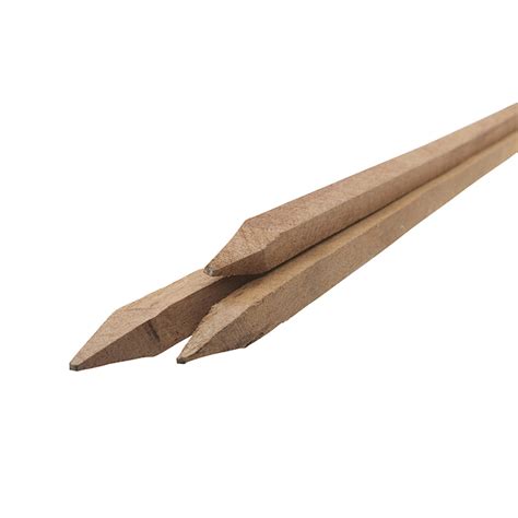 Stakes for Raspberry Plants 的图像结果