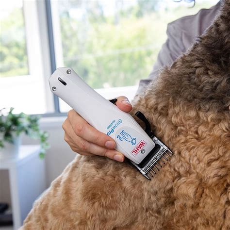 Wahl Cordless ShowPro Pet Clipper – Professional Grooming - dspetstore.com
