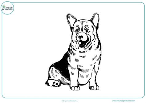 Image result for HTML/Java Print
