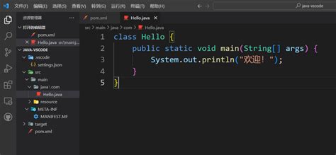JavaScript in Java Vscode 的图像结果