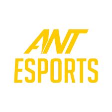 Shop Ant Esports Gaming Peripherals at Vrkaa | Marketplace for Indian ...