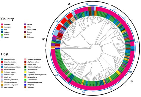 Abundance of Poleroviruses within Tasmanian Pea Crops and Surrounding ...