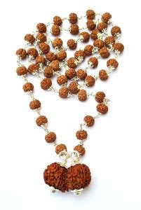 RAM RATAN KENDRA Shri Gaurishankar Rudraksha in Silver Bead Mala & Lab ...