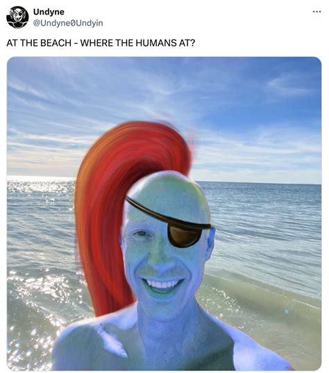 AT THE BEACH - WHERE THE HUMANS AT? | Know Your Meme