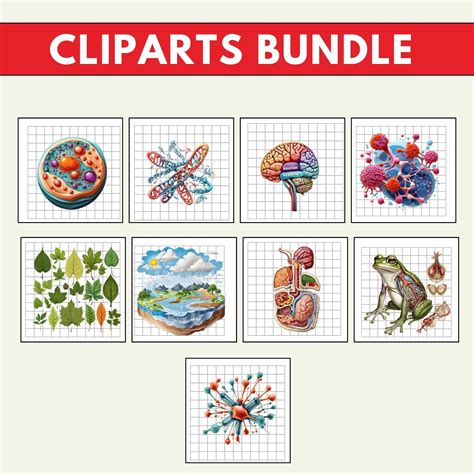 Biology Clip Art PNG 的图像结果