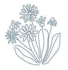 Buy Cushions Online, Cushion Covers, Bedding & Throws Online India ...