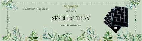 Seedling trays – biobloomsshop