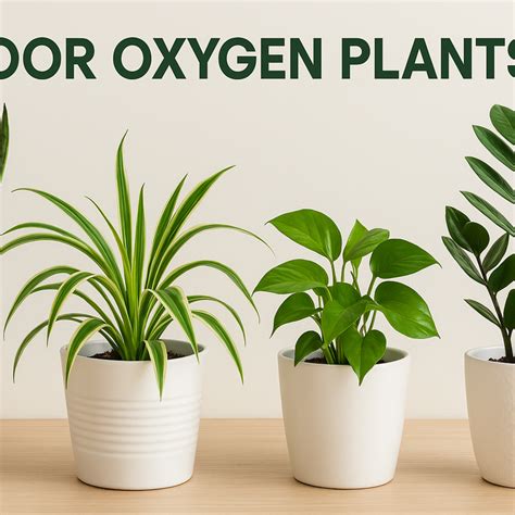 Best Gardening Tips | News and Care — Tagged "low light indoor plants ...