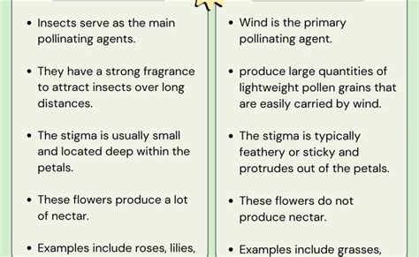 10+ key Differences Between Insect Pollinated and Wind Pollinated ...