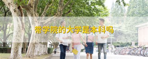 本科是大学吗_有途教育