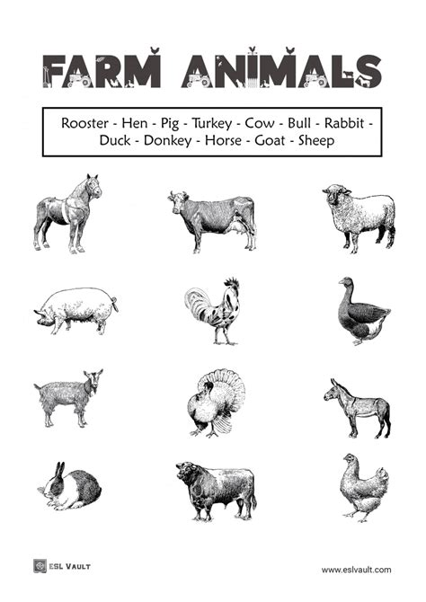 Animal Sports Worksheet 的图像结果