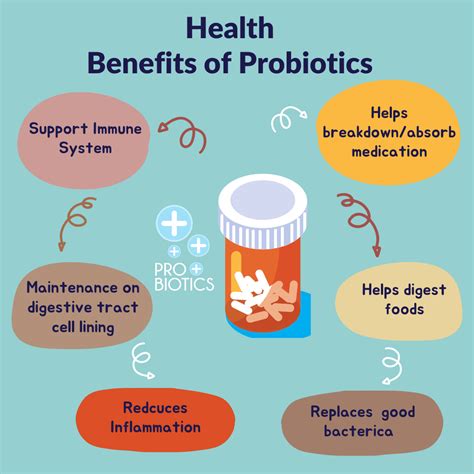 Decoding Probiotics Images: A Visual Guide