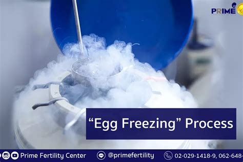 Image result for Egg Freezing Process