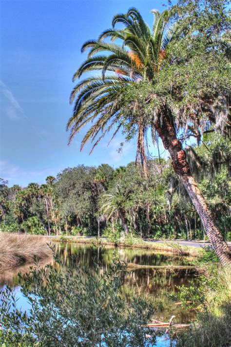 Experience Old Florida - Ormond Scenic Loop and Trail