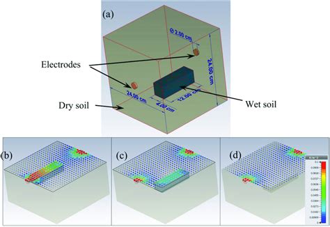 Cord Computer Simulation 的图像结果