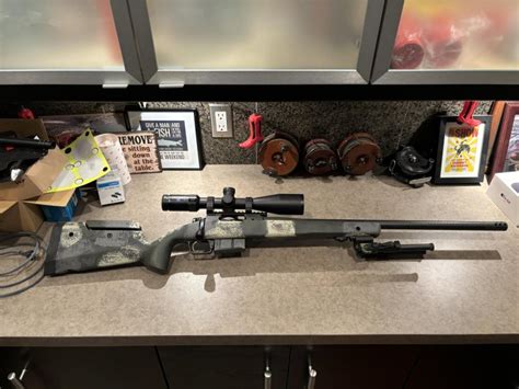 Image result for Springfield Waypoint Scope