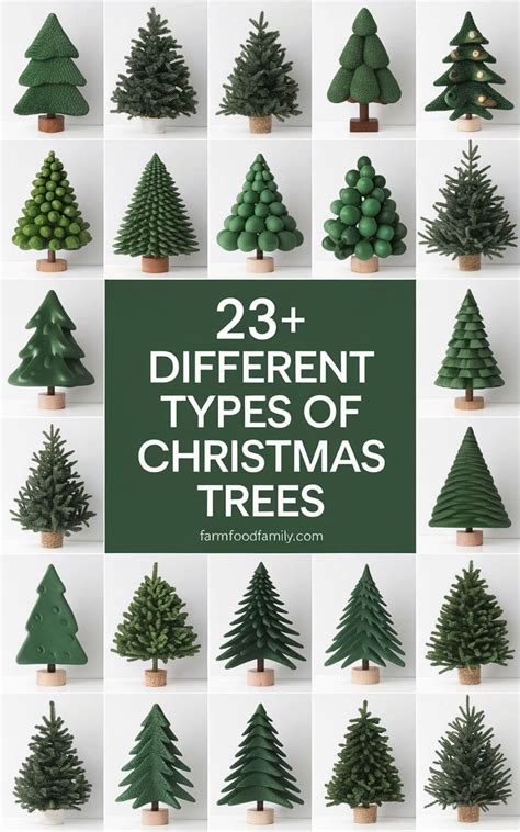 23+ Different Types Of Christmas Trees (With Pictures & Advantages)