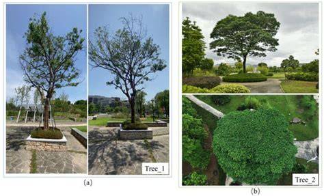 Evaluating the Point Cloud of Individual Trees Generated from Images ...