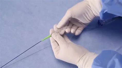 Export AP 的图像结果