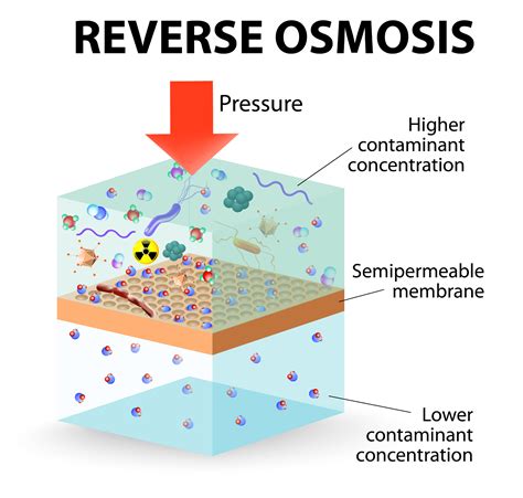 Reverse Osmosis – Definition, Principle, and Applications