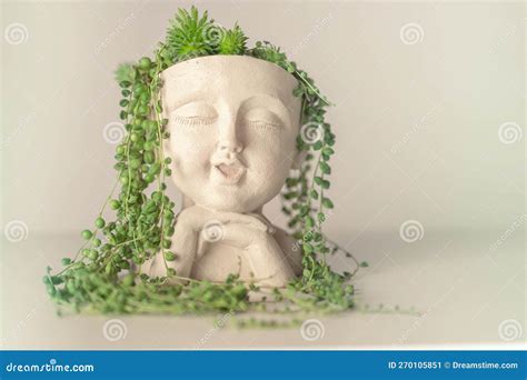 Sustainable Design Aesthetics.Sedums and Succulents a Pot in the Girls ...