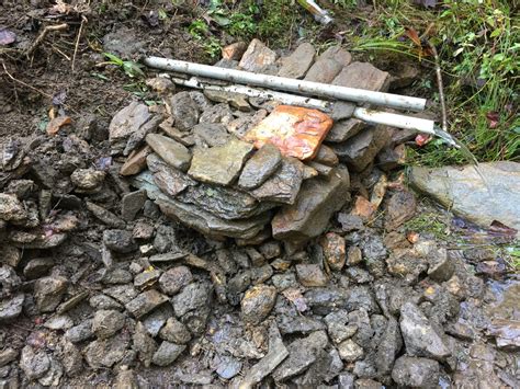 Image result for Spring Water Collection