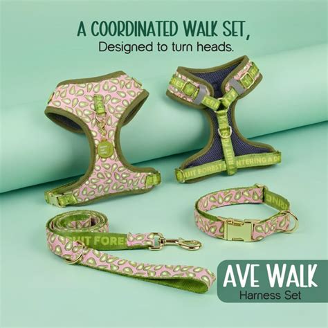 Everyday Walk Gear – Tilting Heads