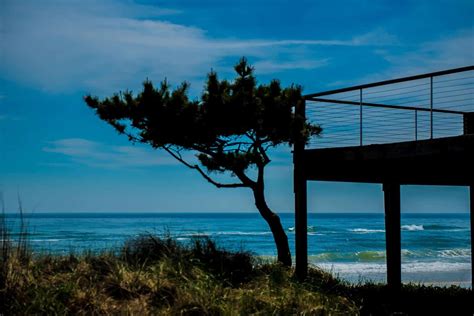 Fire Island Ferries Schedule New York United States of America