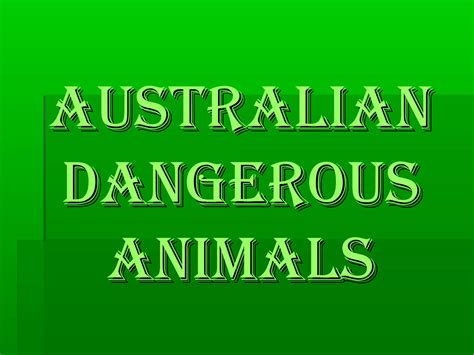 Dangerous Australian Animals 11б | PPT