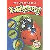 The Life Cycle of a Ladybug (Blastoff! Readers: Life | Ubuy India