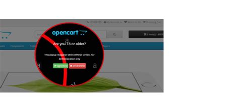 Opencart - OpenCart Age Verification