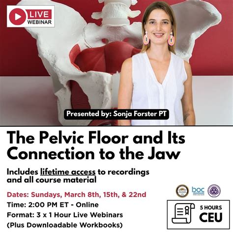 The Pelvic Floor and Its Connection to the Jaw | Niel Asher Education