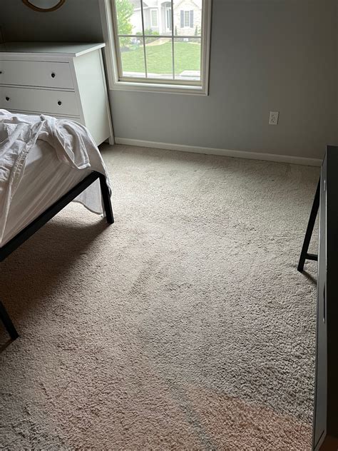 Our New Neutral Low Pile Carpet - Life Love Larson