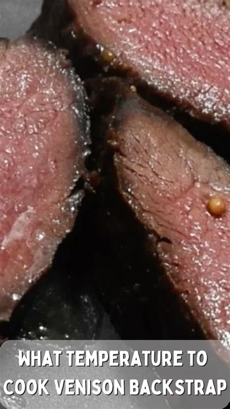 What Temperature to Cook Venison Backstrap | How to cook deer backstrap ...