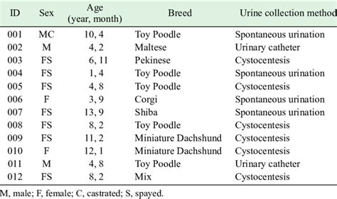 Information About Dogs 的图像结果