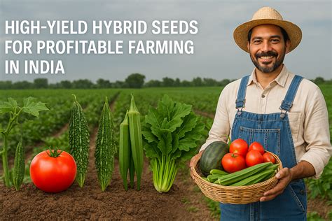 High-Yield Hybrid Seeds for Profitable Farming in India | Mansarovar ...