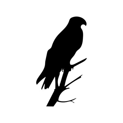 Silhouette of a hawk sitting on a tree branch eagle vector illustration ...