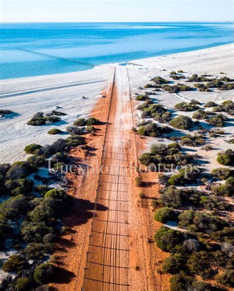 Image result for Shell Beach Wa