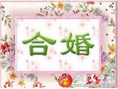 免费测八字合婚，农历生日看一生婚姻-风雅颂易学网