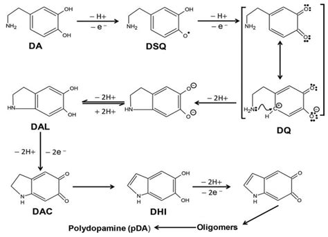Morphological Changes in Astrocytes by Self-Oxidation of Dopamine to ...