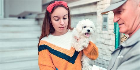 Why Do Dogs Dislike Mailmen – The Truths About Dogs & Mailmen