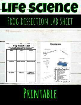 Image result for Dissecting a Frog Lab