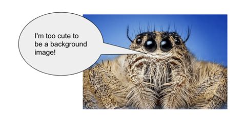 Image result for What Is Module of Website