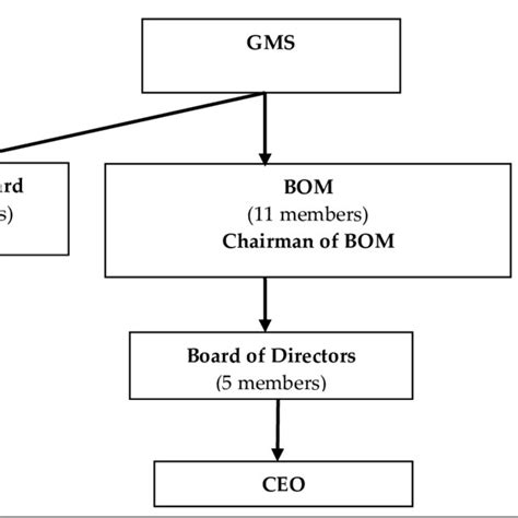 The Governance Structure of the American 的图像结果