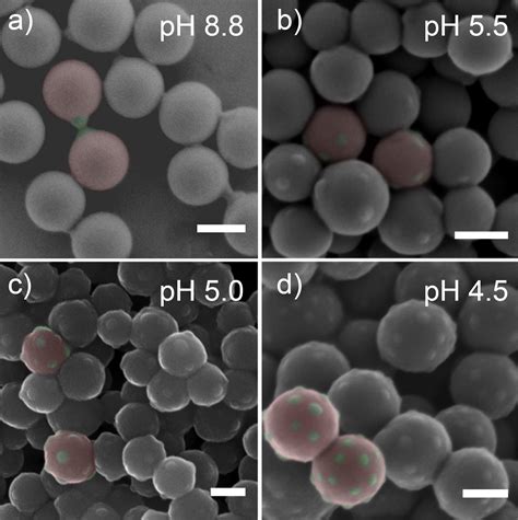 Image result for Emulsion Polymerization Process