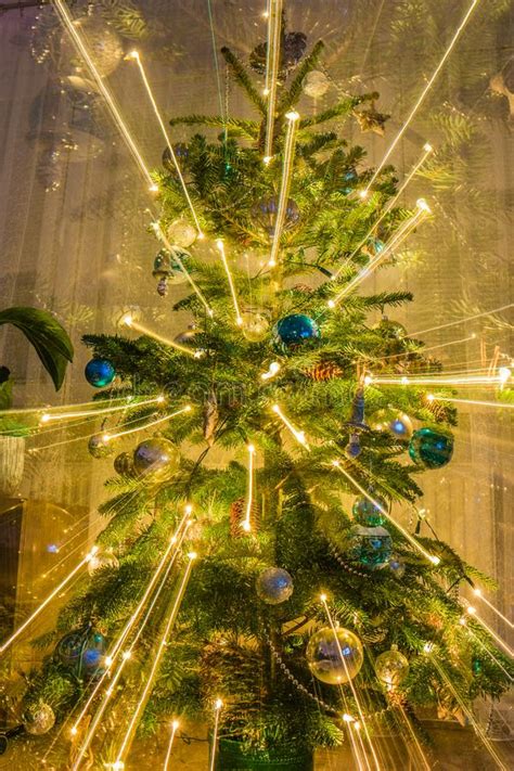 Tree Exploding From Cold 的图像结果