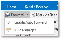 Auto Forward 的图像结果